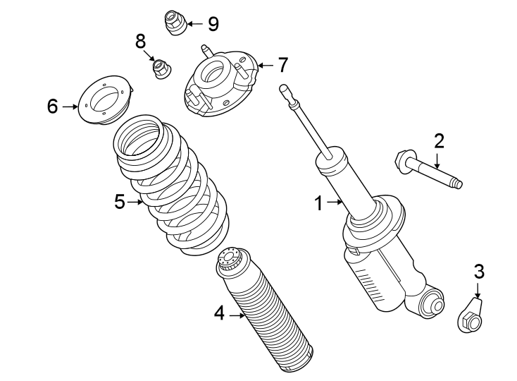 Diagram Rear suspension. Struts & components. for your Ford Bronco  