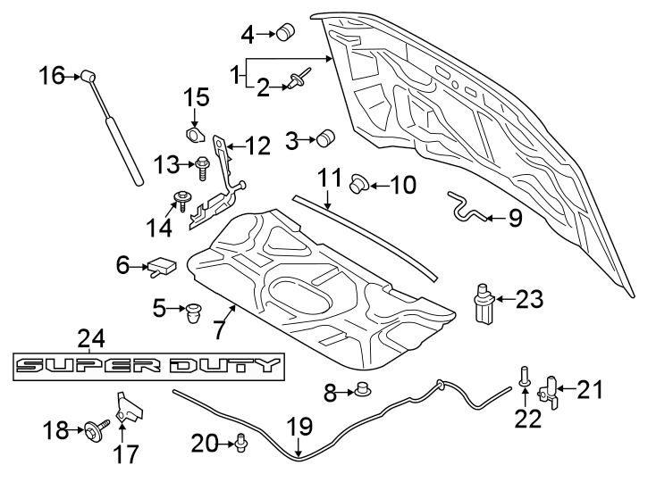 Diagram HOOD & COMPONENTS. for your 2021 Ford F-350 Super Duty XLT Crew Cab Pickup Fleetside  