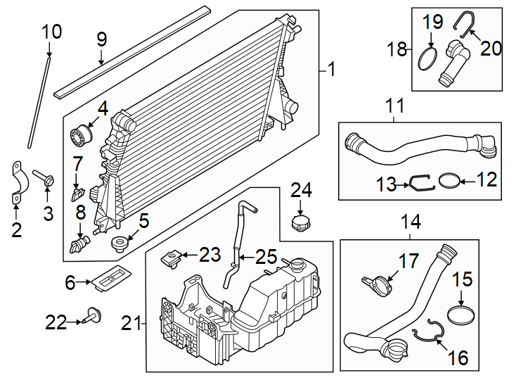 Diagram Radiator & components. for your 1996 Ford F-150   