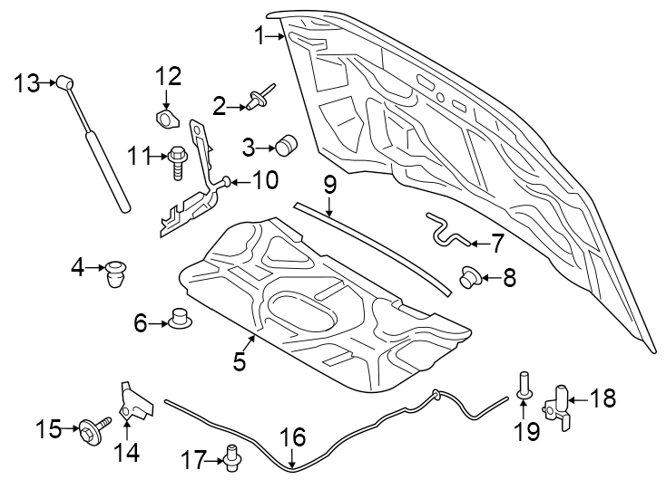 Diagram Hood & components. for your Ford F-150  