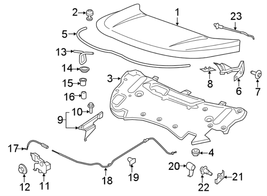 Diagram HOOD & COMPONENTS. for your Ford