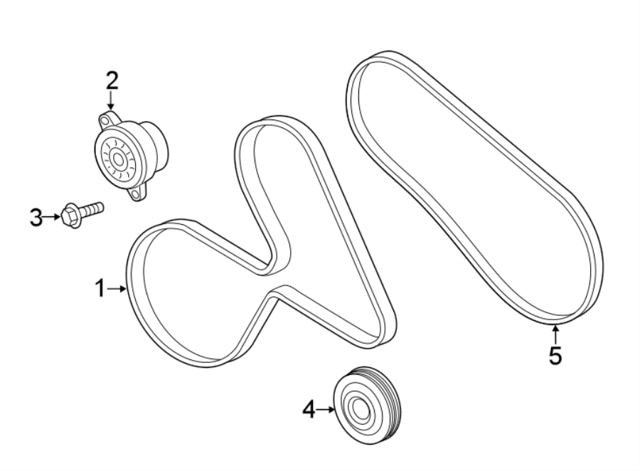 Diagram BELTS & PULLEYS. for your 2020 Ford F-150 5.0L V8 FLEX A/T 4WD XL Standard Cab Pickup Fleetside 