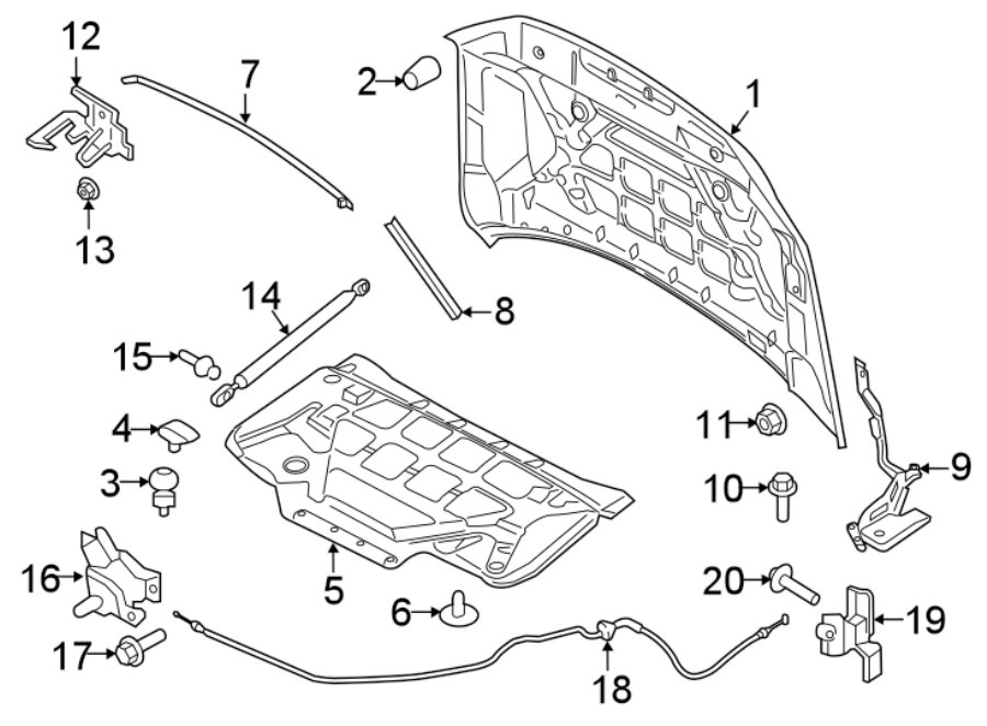 Diagram HOOD & COMPONENTS. for your 2019 Lincoln MKZ Hybrid Sedan  