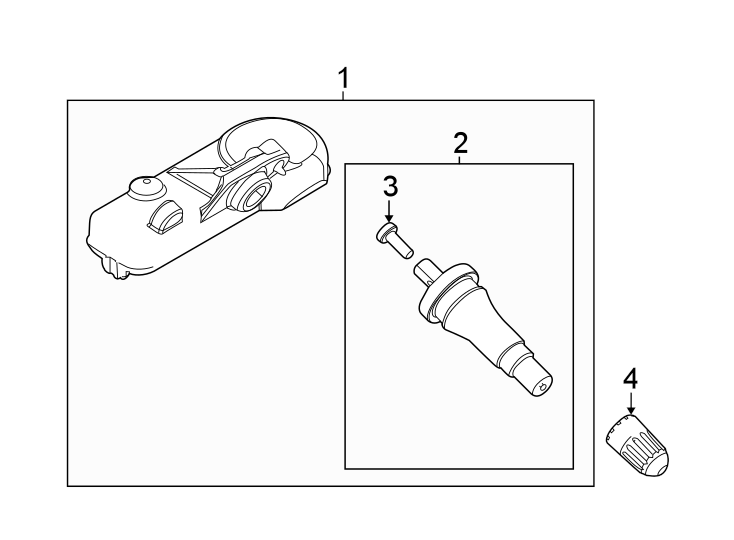 Diagram Tire pressure monitor components. for your Ford Transit Connect  