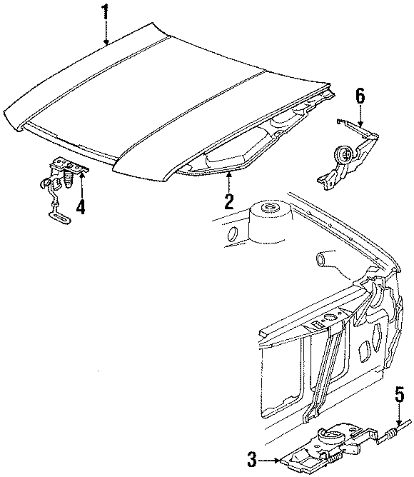 4HOOD & COMPONENTS.https://images.simplepart.com/images/parts/motor/fullsize/NC90055.png