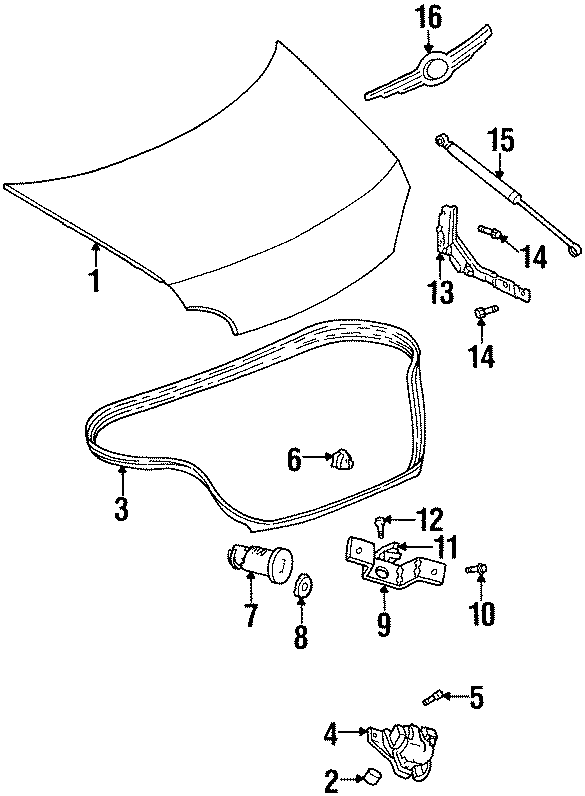 TRUNK LID. EXTERIOR TRIM. LID & COMPONENTS.