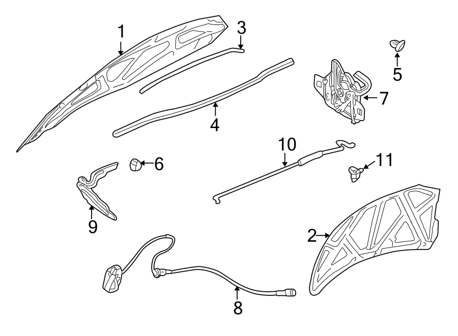 HOOD & COMPONENTS.