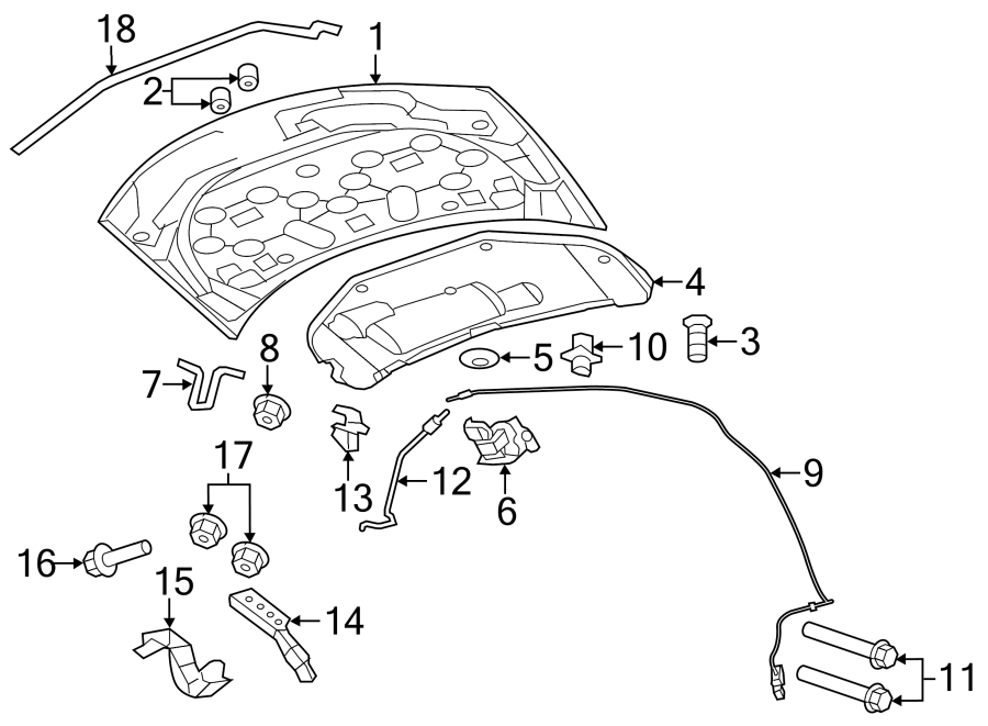 2HOOD & COMPONENTS.https://images.simplepart.com/images/parts/motor/fullsize/NM07135.png