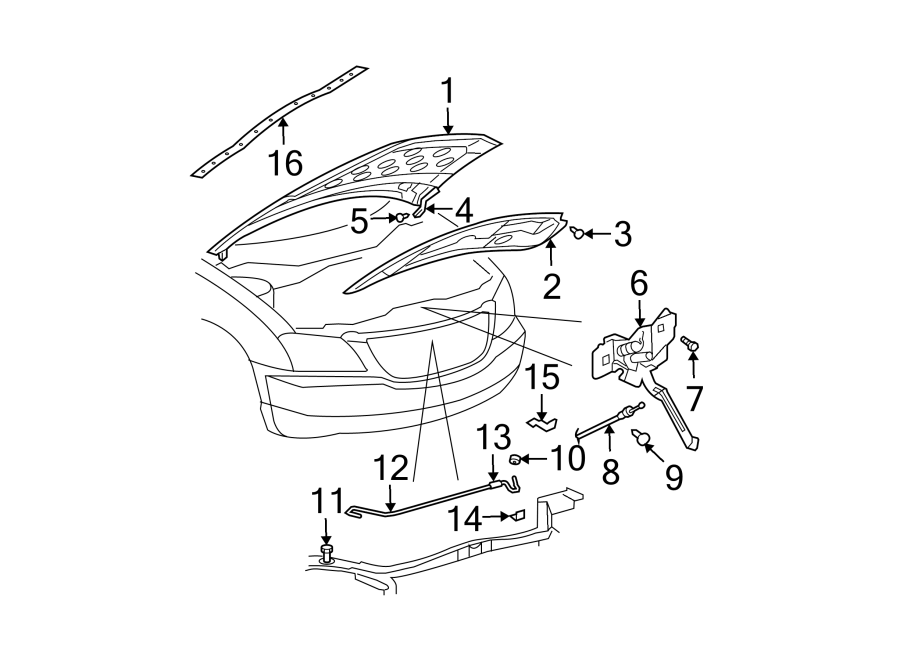 HOOD & COMPONENTS.