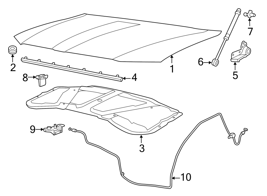 Diagram HOOD & COMPONENTS. for your 2024 Ram ProMaster 3500   