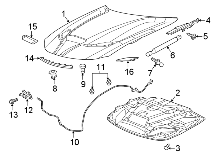 Diagram HOOD & COMPONENTS. for your 2024 Ram ProMaster 3500   