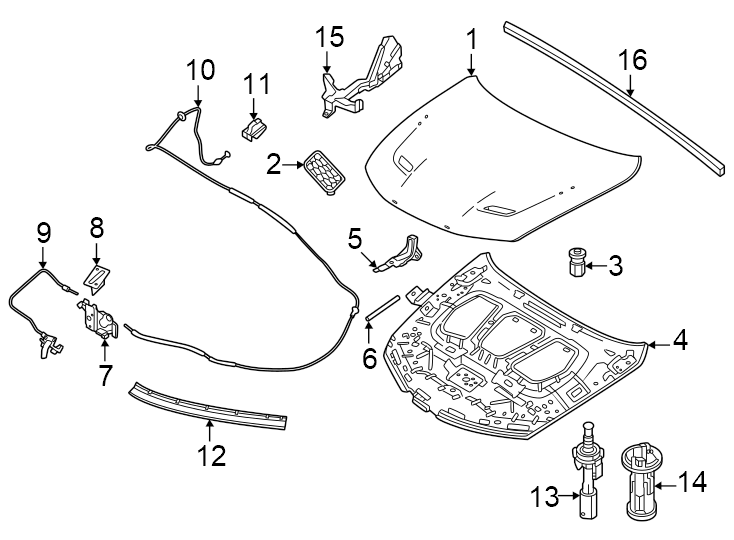 6Hood & components.https://images.simplepart.com/images/parts/motor/fullsize/PH23080.png