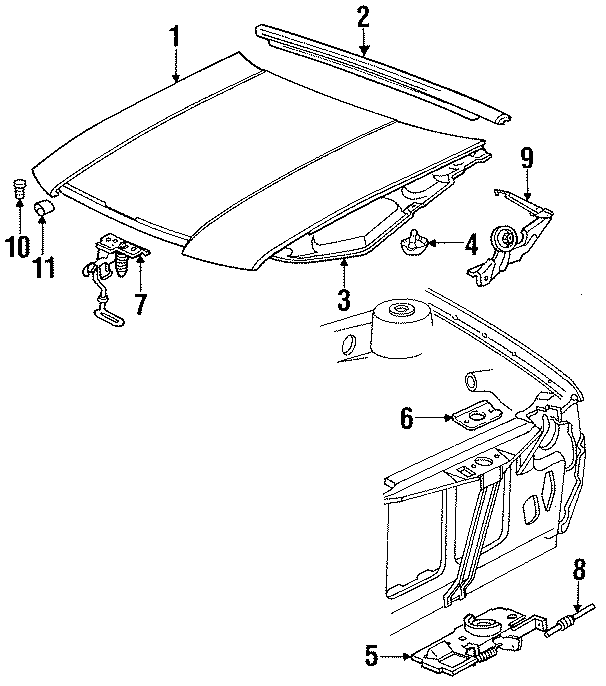 4HOOD & COMPONENTS.https://images.simplepart.com/images/parts/motor/fullsize/SB89080.png