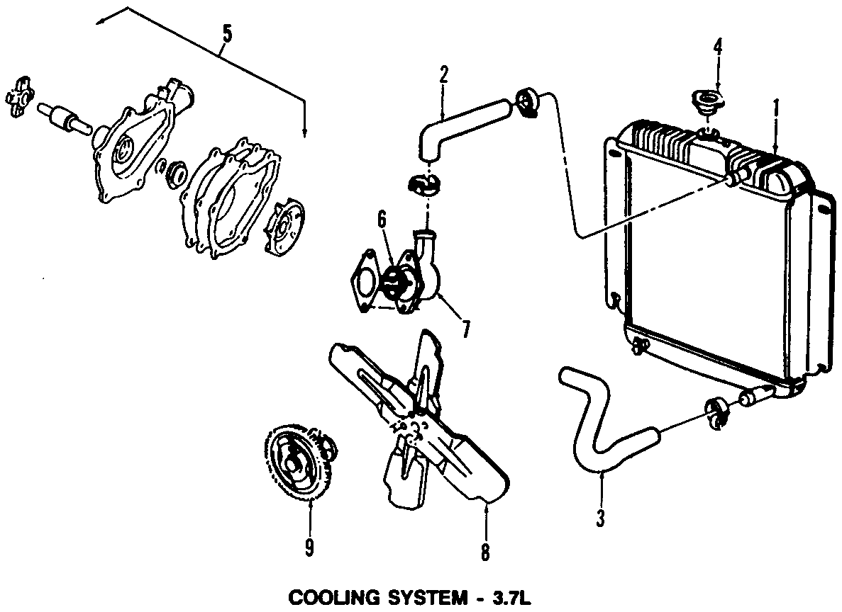 8COOLING SYSTEM. COOLING FAN. RADIATOR. WATER PUMP.https://images.simplepart.com/images/parts/motor/fullsize/T036030.png