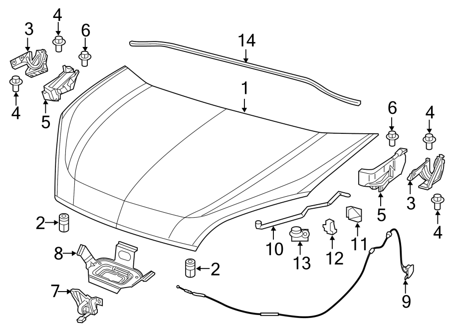 Diagram HOOD & COMPONENTS. for your 2023 Ram ProMaster 3500   