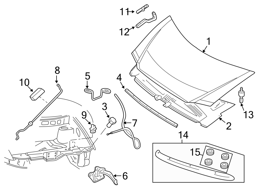 HOOD & COMPONENTS.