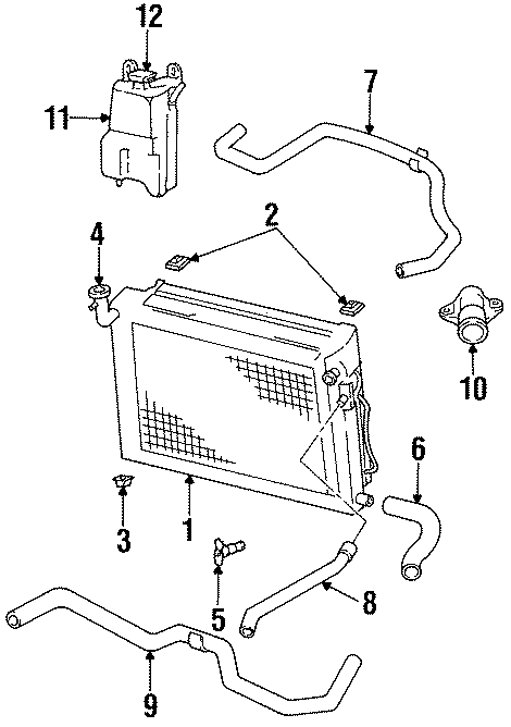 RADIATOR & COMPONENTS.