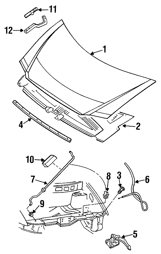 Diagram HOOD & COMPONENTS. for your 2024 Ram ProMaster 3500   