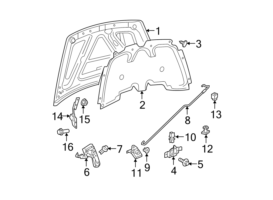 HOOD & COMPONENTS.