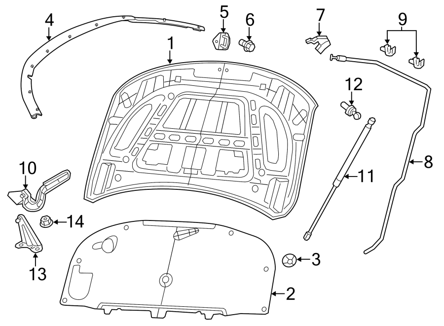 Diagram Hood & components. for your 2022 Dodge Durango 3.6L Pentastar V6 A/T AWD SXT Plus Sport Utility 