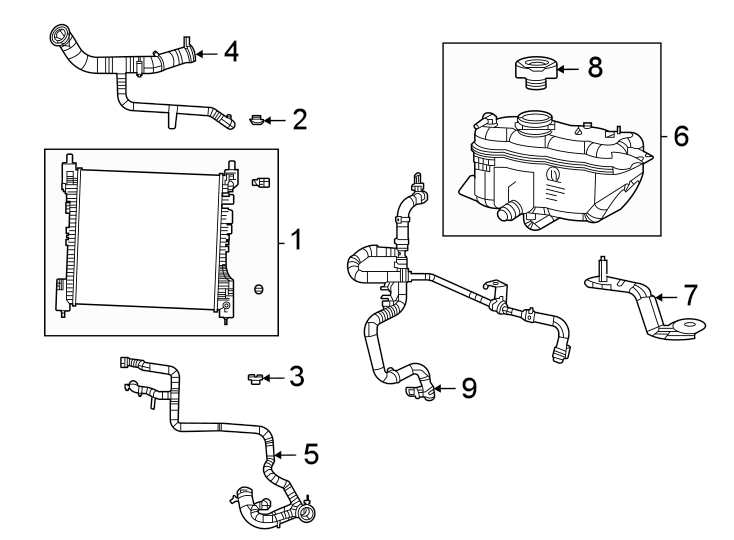 Radiator & components. Diagram