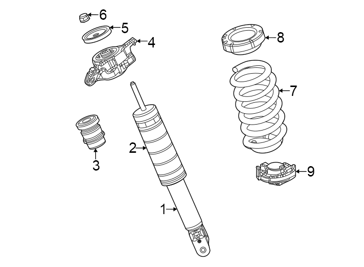 7Rear suspension. Shocks & components.https://images.simplepart.com/images/parts/motor/fullsize/WL22740.png