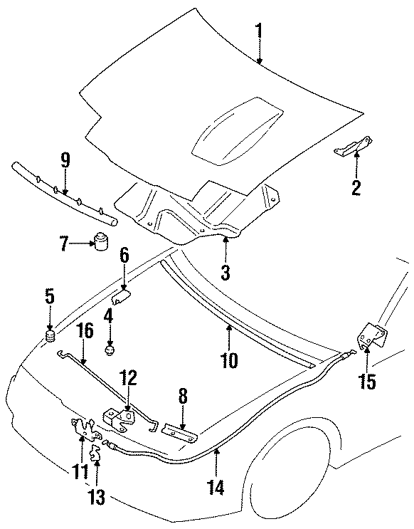 8HOOD & COMPONENTS.https://images.simplepart.com/images/parts/motor/fullsize/XS90070.png