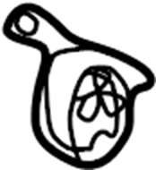View 8D0253144R Exhaust Bracket (Front) Full-Sized Product Image