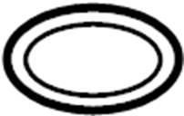 View 254423S000 Engine Coolant Reservoir Cap Gasket Full-Sized Product Image