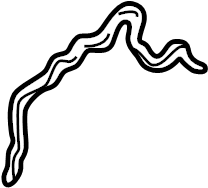 View KL0110533B Engine Timing Cover Gasket (Front, Lower) Full-Sized Product Image