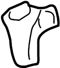 View 9968035410001C Seat Belt Anchor Plate Cover (Upper) Full-Sized Product Image
