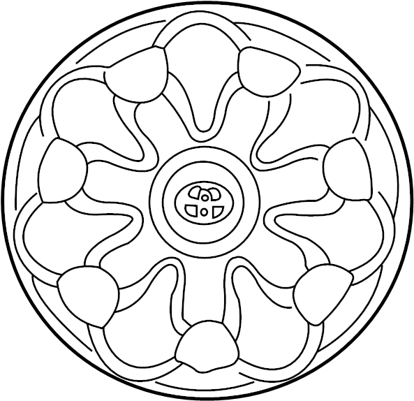 View PT25552001SK Wheel Cover Full-Sized Product Image