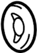 View 9091706041 Gasket. Pipe. Exhaust. Muffler. (Front, Rear) Full-Sized Product Image