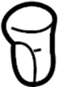 View 64725AC010C0 Tie Down Hook (Front, Rear, Lower) Full-Sized Product Image