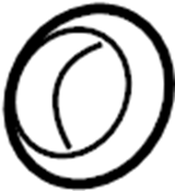 View 1745121070 Gasket. Pipe. Exhaust. (Front, Rear) Full-Sized Product Image