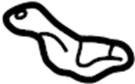 View 7721606010 Filler. Support. Pipe. (Front, Lower) Full-Sized Product Image