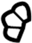 View 443971847B Sunroof Drain Hose Clip (Rear) Full-Sized Product Image