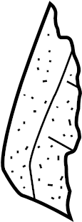 View 1K0885775AP Seat Back Cushion Full-Sized Product Image