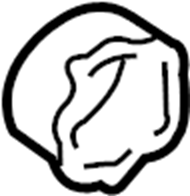 View 15589426 Axle Nut Full-Sized Product Image