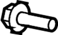 View W714438S439 Window Regulator Screw Full-Sized Product Image