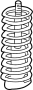 14054344 Coil Spring (Front)
