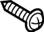 View Screw. (Front, Lower) Full-Sized Product Image