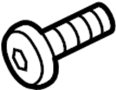 View Striker. SCREW. Bolt. Lock. Plate.  Full-Sized Product Image