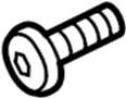 View Striker. SCREW. Bolt. Lock. Plate.  Full-Sized Product Image