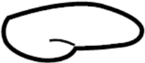 View 8162439000 Full-Sized Product Image