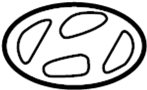 View Emblem. (Rear) Full-Sized Product Image