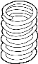 Coil Spring (Front)