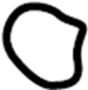 Image of Windshield Wiper Arm Cap image for your 2022 Hyundai Kona   