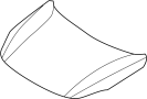 Image of Hood Panel image for your 2010 Hyundai Veracruz   