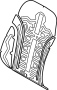 Image of Seat Heater Pad (Front) image for your 2024 Genesis Electrified G80   